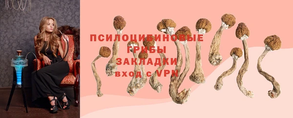 кокс Данков