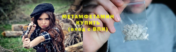 ГАЛЛЮЦИНОГЕННЫЕ ГРИБЫ Богданович