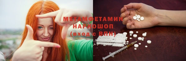 ГАЛЛЮЦИНОГЕННЫЕ ГРИБЫ Богданович