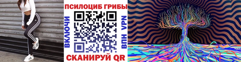 Псилоцибиновые грибы прущие грибы  купить наркотик  гидра ССЫЛКА  Купино 